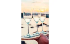 Silwy® Magnet-Champagnergläser (200 Ml) Inkl. Untersetzer 2er Set -Verkaufe Mobilkuche 297881 2078601