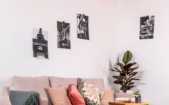 Silwy® Flex Magnethaken Inkl. Metall-Nano-Gel-Pads 5 Cm 8-tlg. Schwarz -Verkaufe Mobilkuche 337223 2526526