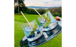 Silwy® Magnet-Kunststoffgläser Tumbler 6 Stück Transparent (250 Ml) -Verkaufe Mobilkuche 435567 3103716 1