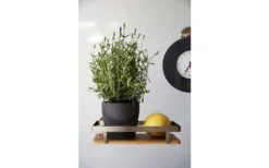 Wenko Universalregal Premium Wandregal -Verkaufe Mobilkuche 516434 3504149