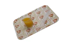 Pufz Anti-Rutsch-Matte 24 X 17 Cm Klein -Verkaufe Mobilkuche 594423 4352167