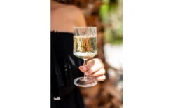 Berger Weinglas 2er Set -Verkaufe Mobilkuche 690069 4697631