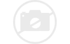 Dometic Anschlussbox RV-33